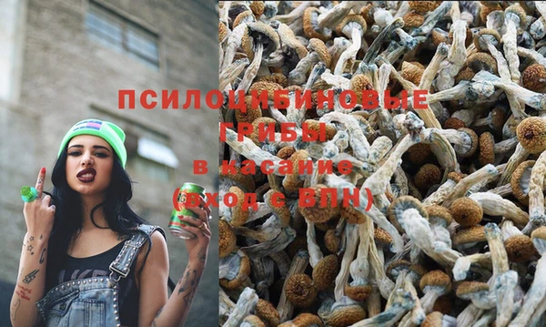 спайс Вязники