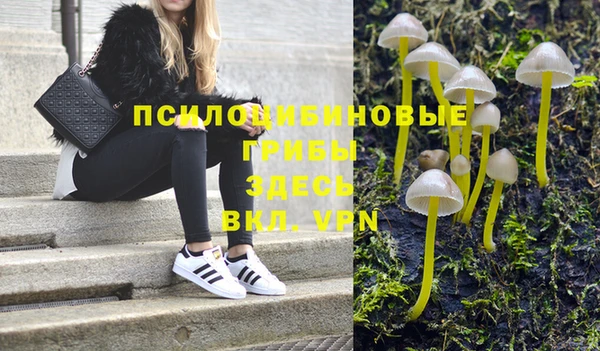 гидропоника Сосновый Бор